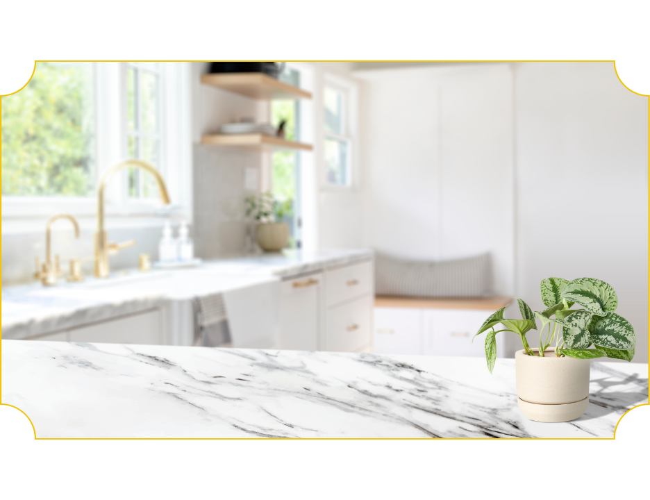 marble+header.png